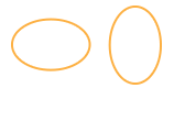 oval-_5x_75