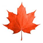 Stock syrup label background #41: Red Maple Leaf.