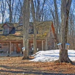Stock syrup label background #3: Log Cabin with Buckets